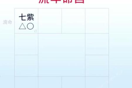 紫薇斗数流年大限
