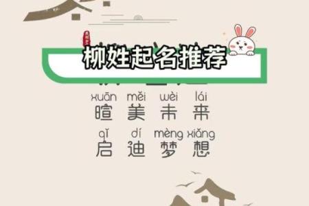 柳姓男孩名字大全-柳姓男孩起名字大全-柳姓名字大全姓名