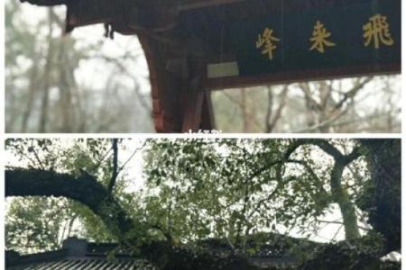 去寺庙求神拜哪个灵签