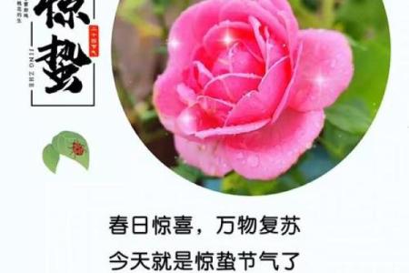 黄历惊蛰是什么意思,运气好命短