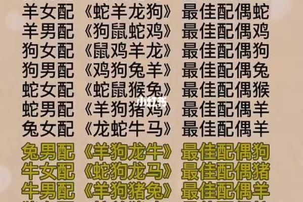 十二生肖的最佳婚姻配对