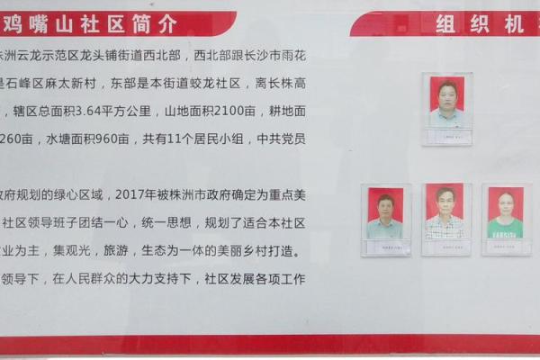 沈阳星座社区属于哪个街道的办事处