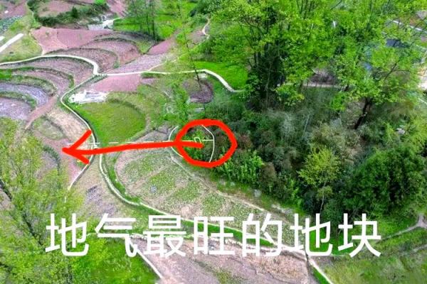 祖坟风水如何看，对后代有影响