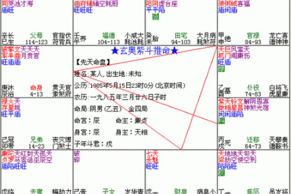 倪师《天纪》学习笔记紫微斗数的特殊格局
