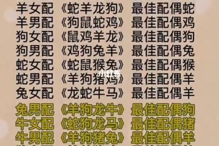 十二生肖的最佳婚姻配对
