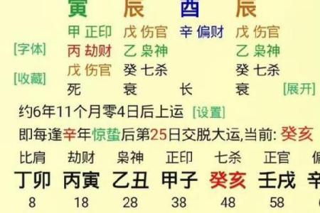 八字申巳