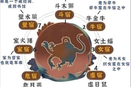 如何看自己的星座是什么时候的星宿