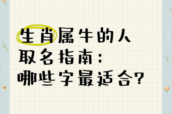 下午3点出生的属牛男孩怎么取名好姓名