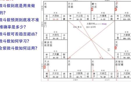 紫微斗数慎和浮 紫微斗数测算？