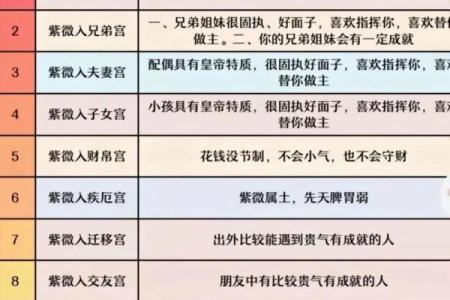 紫薇星盘星曜解析详解图