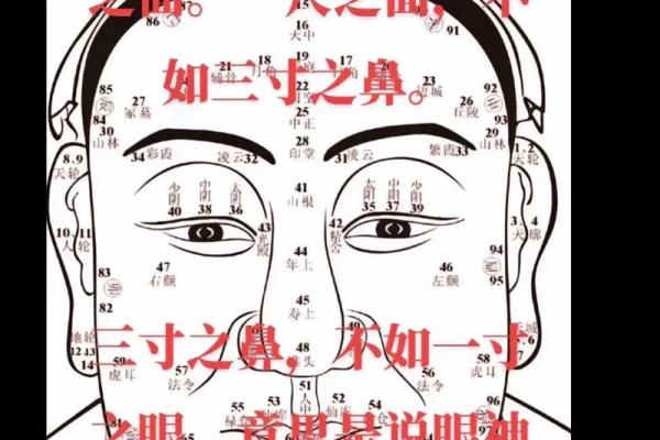 男人八字过弱的特征 男人八字过弱的特征