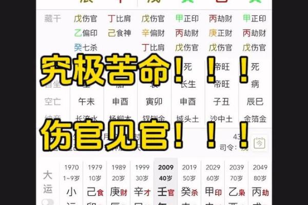 伤官见官的八字