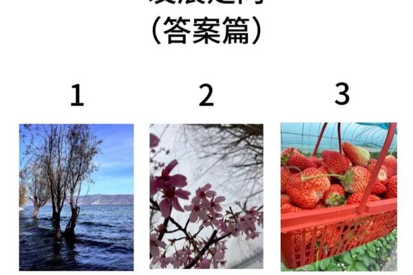 塔罗测试四月你和另一半感情如何？