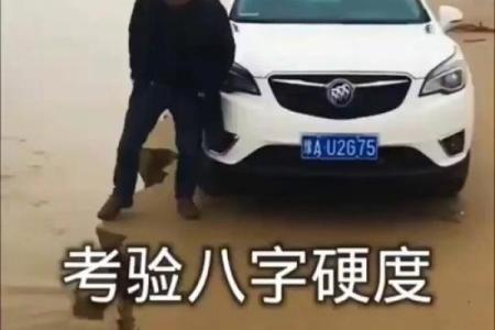 八字最硬