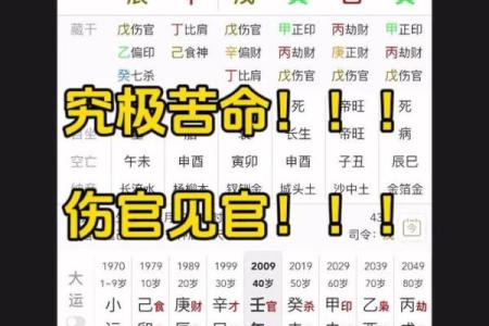 伤官见官的八字
