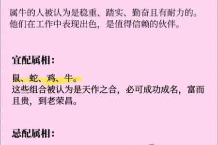 鸡马生肖配对指数 鸡和马属相婚配指数
