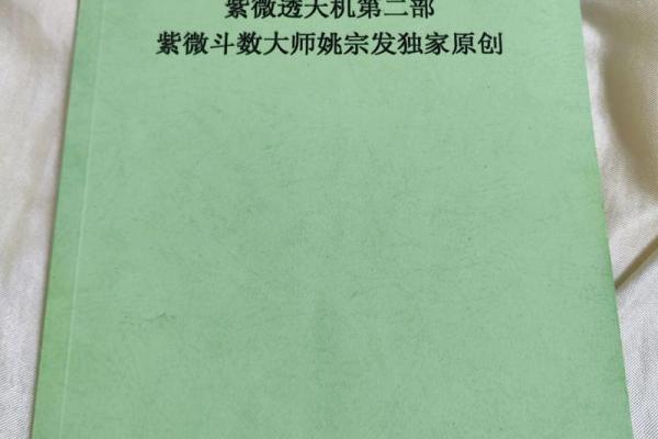 伟人紫薇斗数