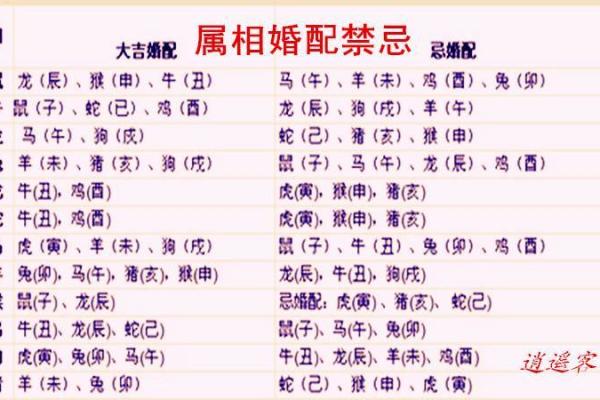 在一起最旺对方的六大生肖配对