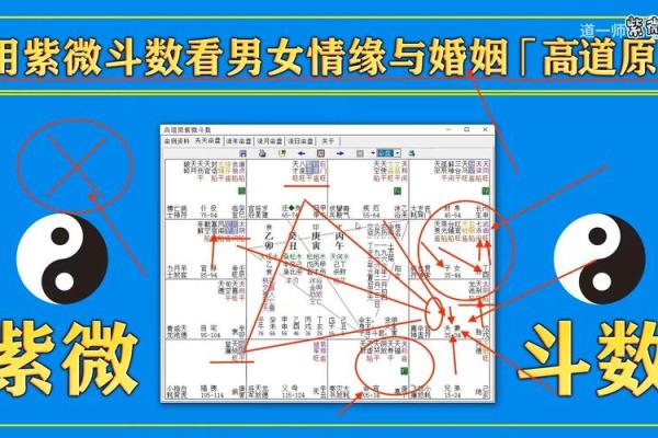 紫薇斗数看对象