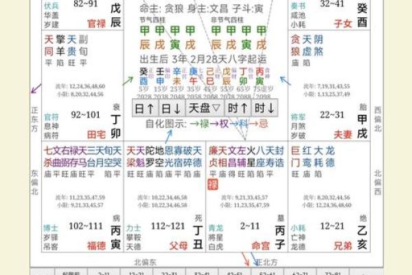 逆流紫薇斗数