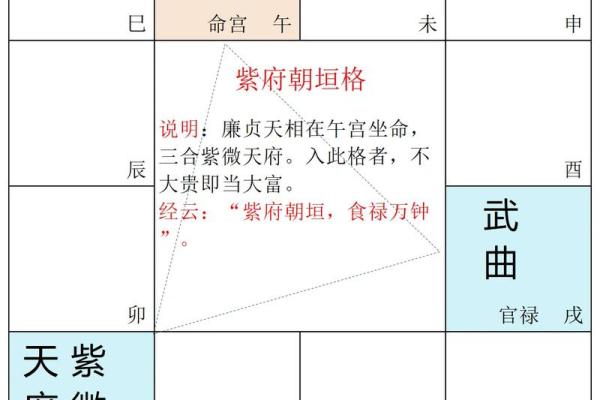 江苏紫微斗数 紫微斗数官网？