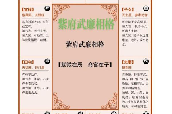 江苏紫微斗数 紫微斗数官网？