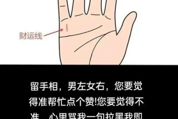 看手相算命图解：手