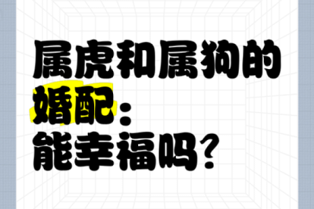 属虎和什么属相最配对 属虎和什么属相相冲