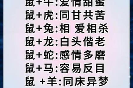 在一起最旺对方的六大生肖配对