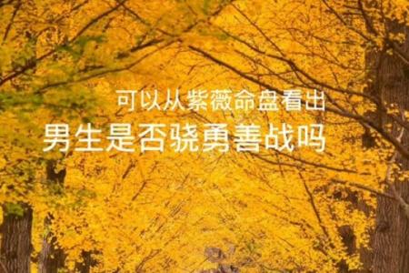 紫薇斗数手机排版