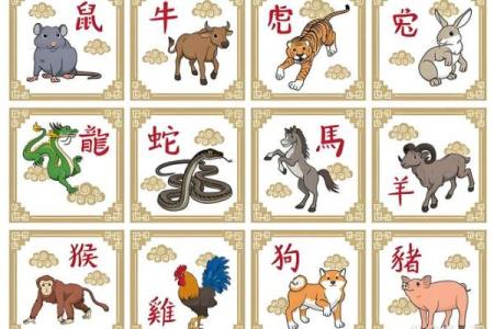 生肖配对表 兔和猪适合在一起吗