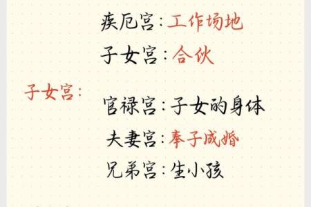 紫薇斗数中的加什么意思