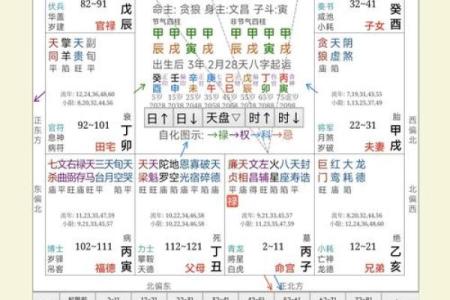 逆流紫薇斗数