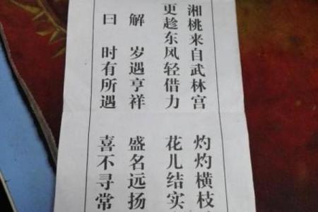 观音灵签49签中签亥宫