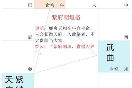 江苏紫微斗数 紫微斗数官网？