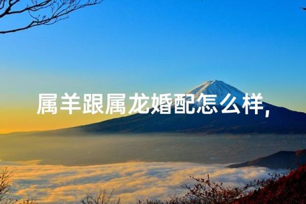 生肖羊婚姻配对 生肖羊姻缘最佳配对