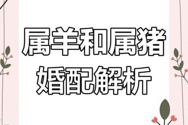 生肖羊婚姻配对 生肖羊姻缘最佳配对