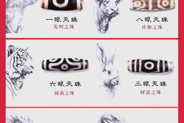 戴天珠的风水