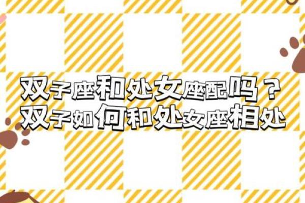 双子座和处女座婚姻配对吗