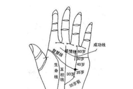 凯帝阿手相算命图解大全06