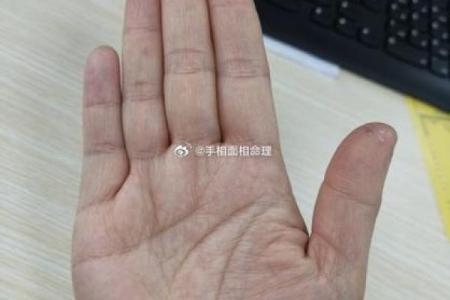 手相风水：命运线中间断开象征什么意义