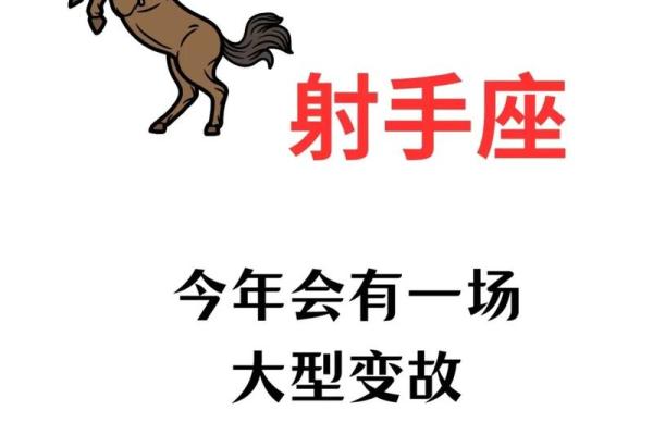 灶神星落在十二星座射手座