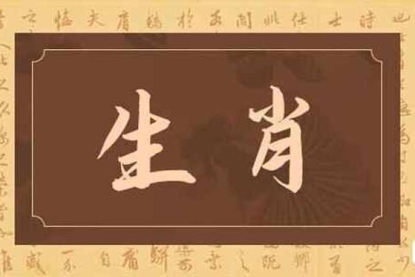 属相算命2024年运势
