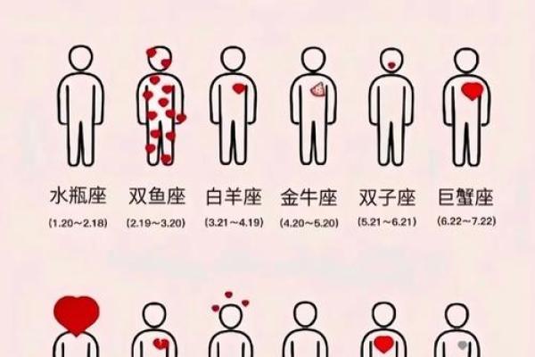 我们说的星座都是本星系群的吗