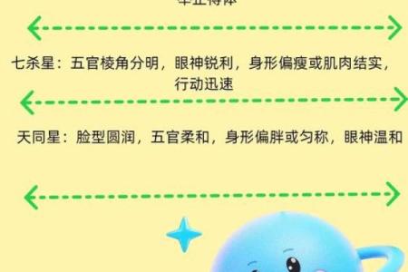 紫薇星属于什么星座