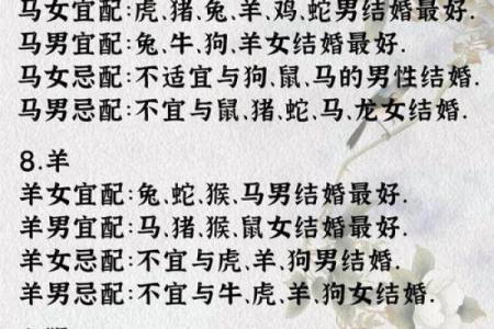 1996年属什么生肖配对 属相婚配表解析