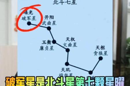 毛紫薇斗数