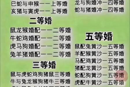 生肖配对 十二生肖最佳配对表格