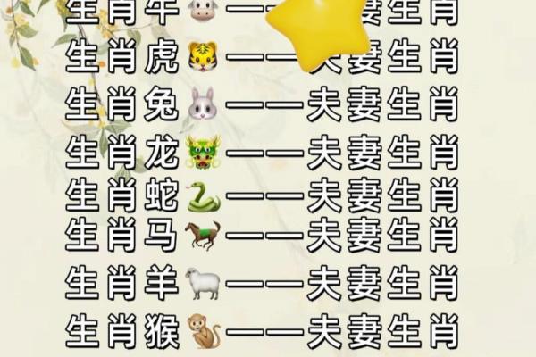 年份生肖配对表顺序 年份生肖配对表图