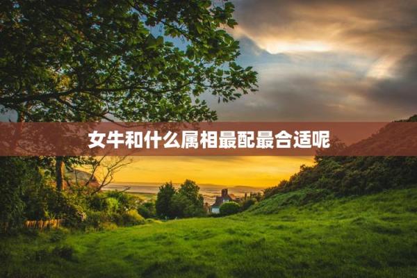属牛的女人和什么属相最配对 属牛的女人和什么属相最配婚姻